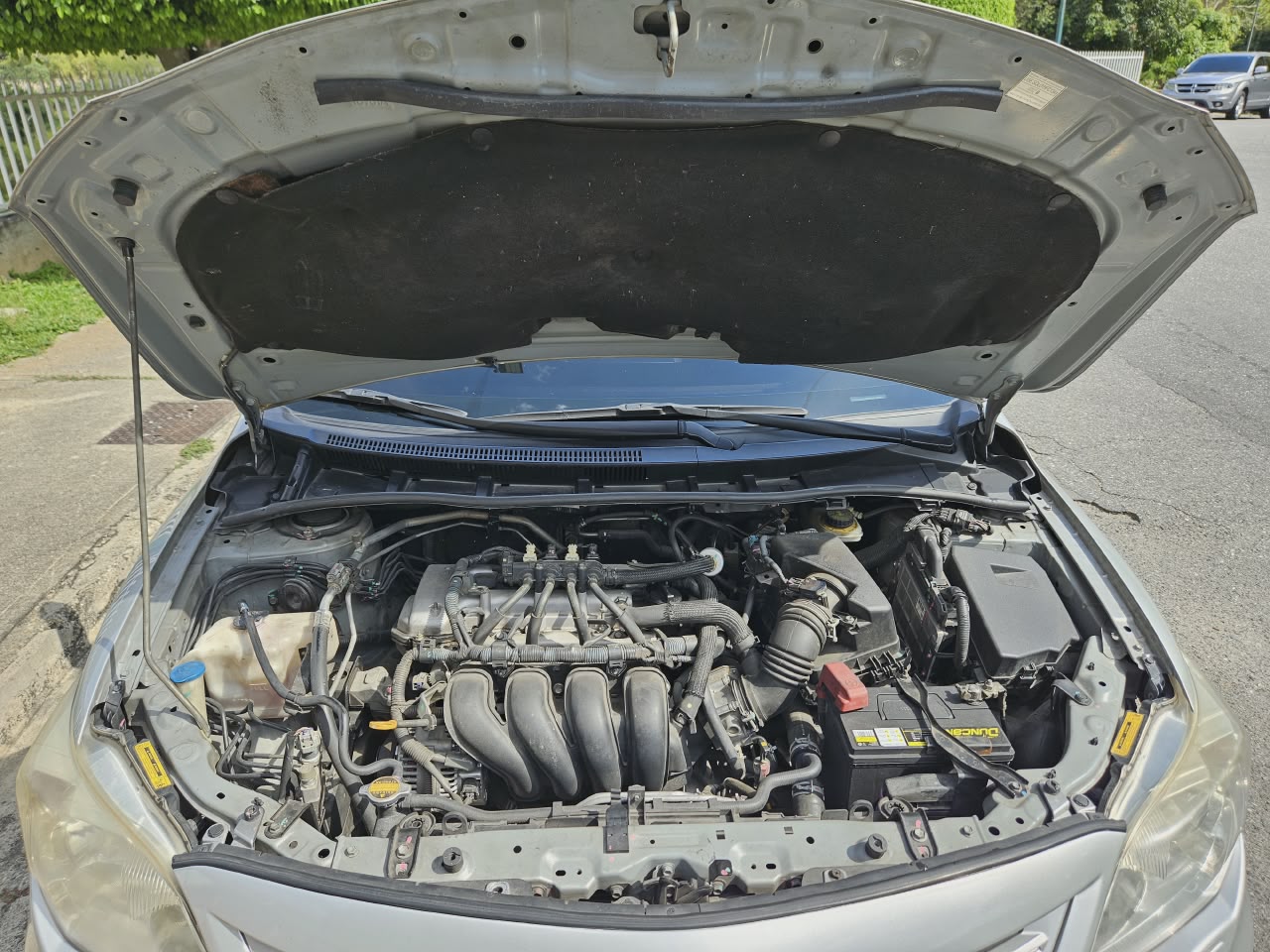 Motor